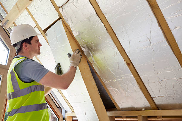 Best Home Insulation Services  in Bowling Green, VA